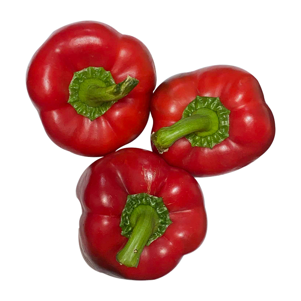 Ennius Bell Pepper Red 200g