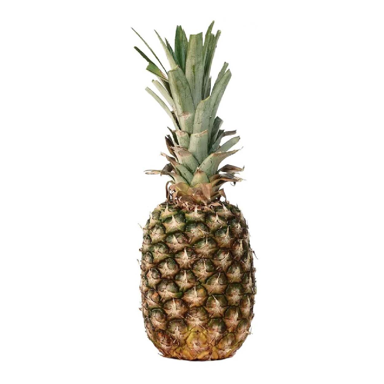Dizon Pineapple Medium 1pc