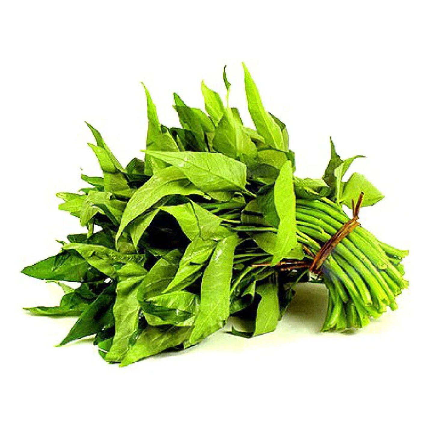 Global Fresh Kangkong Bundle